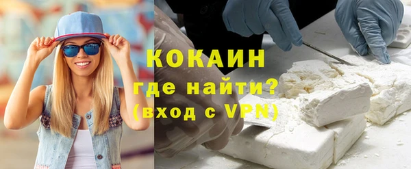 стаф Аркадак