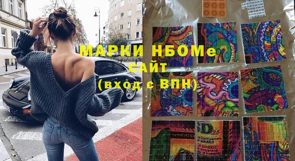 стаф Аркадак