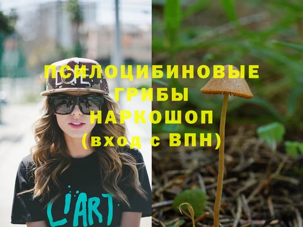 стаф Аркадак