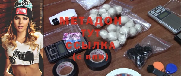 стаф Аркадак