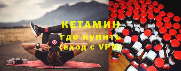 стаф Аркадак