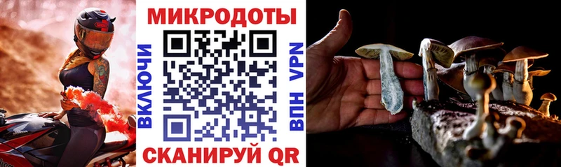 гидра ссылки  дарк нет как зайти  Галлюциногенные грибы ЛСД  Свободный 